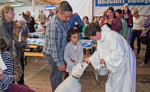 Am Sonntagmorgen fand im Festzelt die traditionelle Tiersegnung statt | Foto: Schäfer