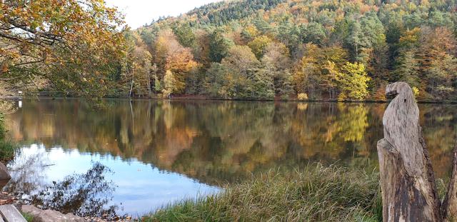 Herbst am Seehof-Weiher | Foto: Jens Vollmer