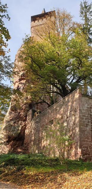 Burg Berwartstein | Foto: Jens Vollmer