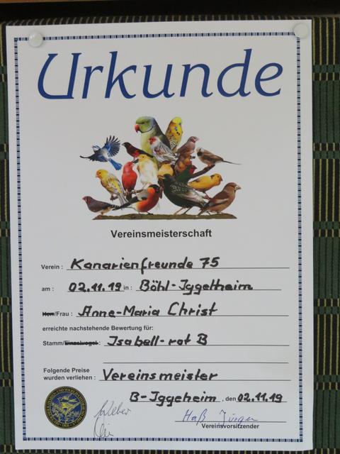 So sehn' Sieger aus :-) | Foto: Brigitte Melder