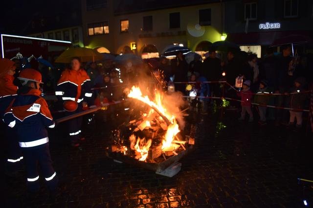 Die Freiwillige Feuerwehr sorgte für ein prächtiges Martinsfeuer. | Foto: Bender