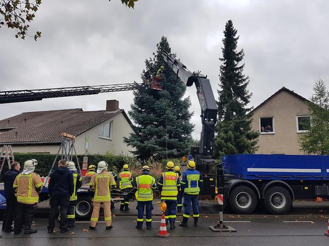 Gemeinschaftlich wurde die Tanne bei Familie Baum gefällt.