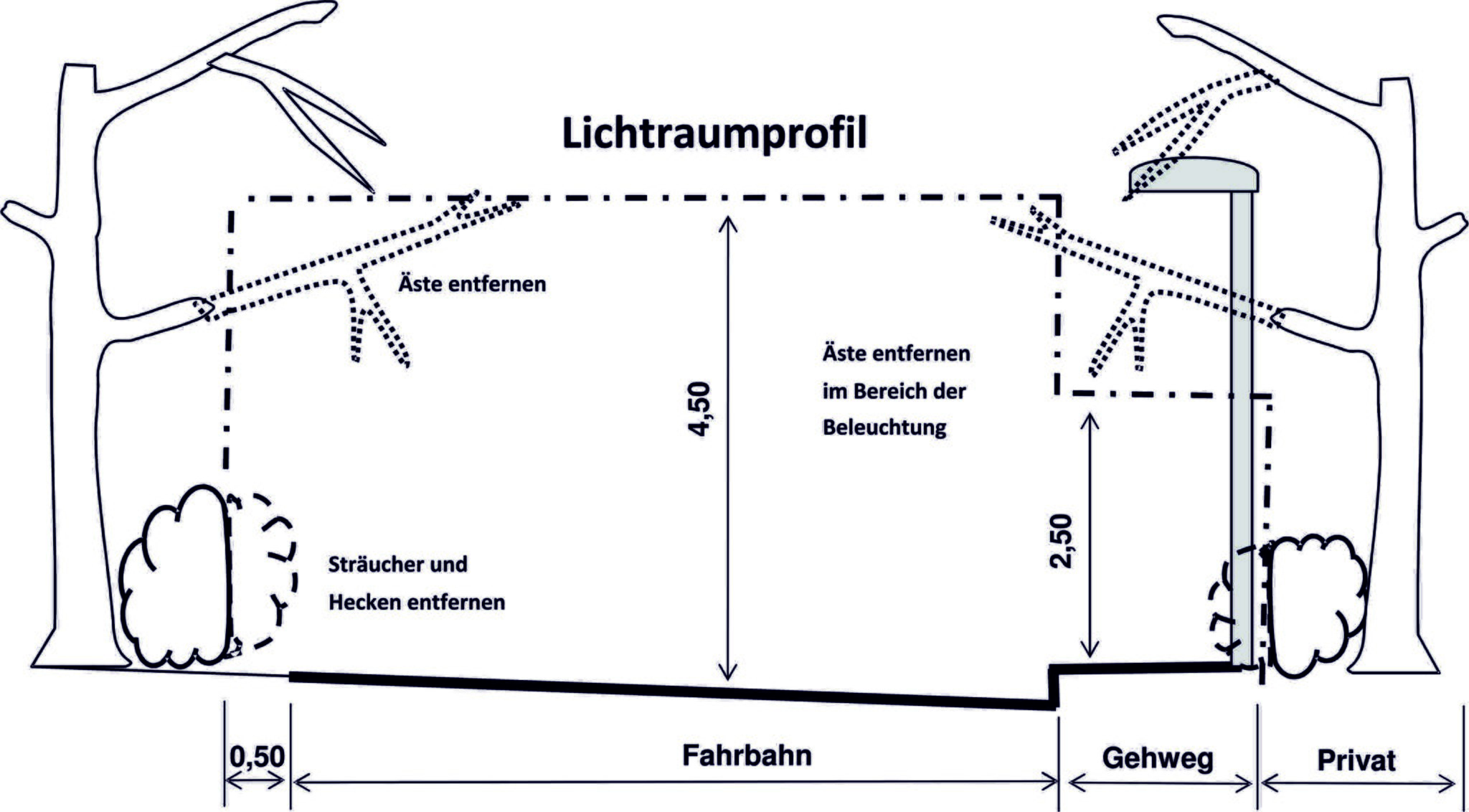 Wann Darf Man Busche Schneiden
