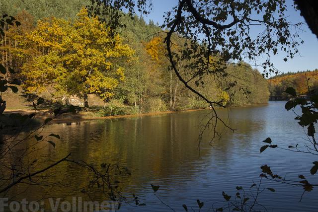 Der Seehof-Weiher | Foto: Jens Vollmer