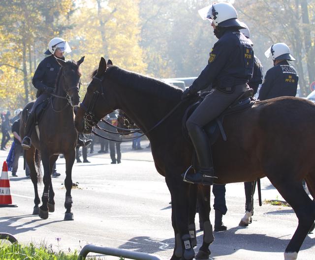 Foto: Archiv/wow.pics.ka