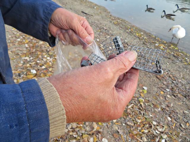 Das sind die Übeltäter | Foto: Brigitte Melder