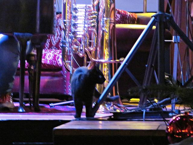 Der kleine "Panter" auf der Bühne | Foto: Brigitte Melder