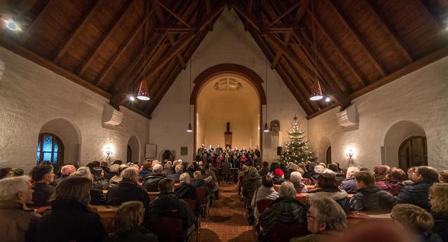 In diesem Jahr gestalten Vox Humana das Konzert. | Foto: ps