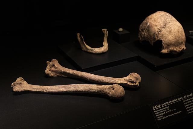 "Medicus - die Macht des Wissens" | Foto: Paul Needham