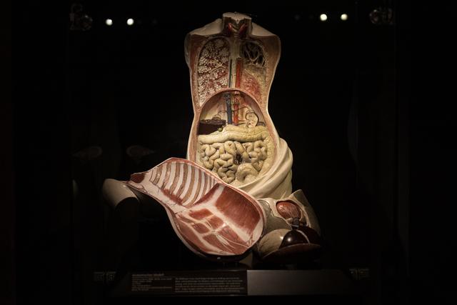 "Medicus - die Macht des Wissens"