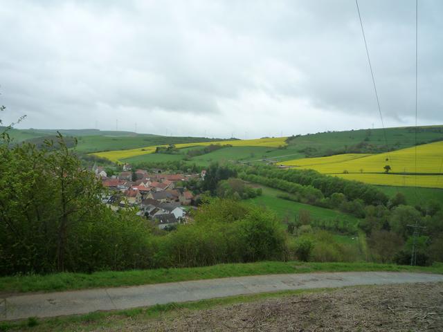 Weinbergsrundgang in Niedermoschel