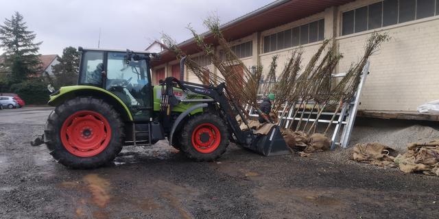 Karl Schäfer mit seinem Enkel beim aufladen der Mandelbäume für die Pflanzaktion 