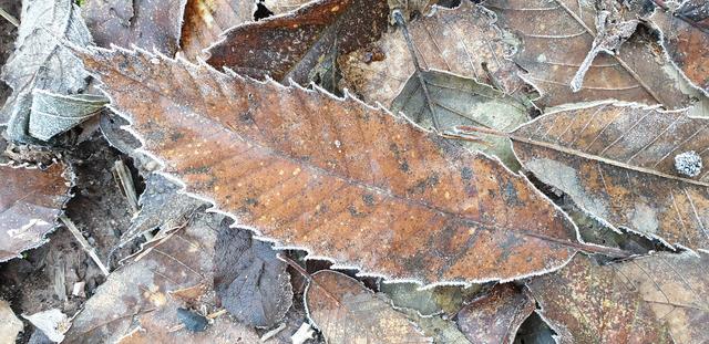 Die Natur als Künstler | Foto: Handyfoto von Jens Vollmer