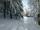Winterlandschaft an der Hütte im Degenbachtal | Foto: Heinrich Schneider