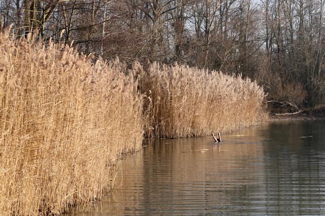 Foto: Hans-Peter Melder