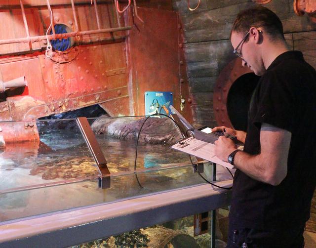 Auch die Profis zählen mit | Foto: Heike Schwitalla