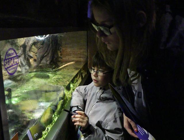 Fischinventur im Sea Life Speyer | Foto: Heike Schwitalla