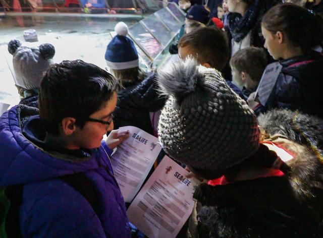 Fischinventur im Sea Life Speyer - die Kinder hatten Spaß | Foto: Heike Schwitalla