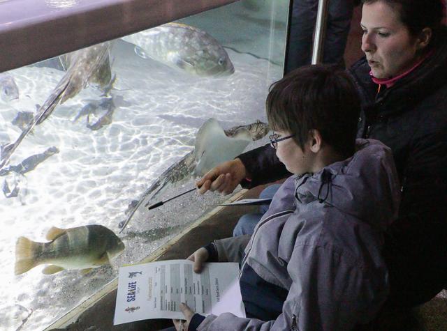 Fischinventur im Sea Life Speyer | Foto: Heike Schwitalla