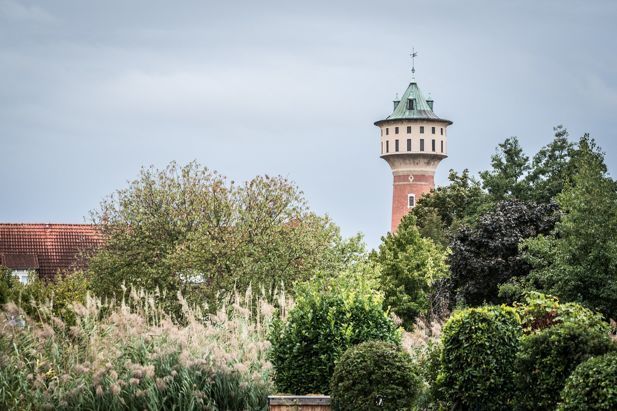 Mannheim Aus den Stadtteilen Nachrichten aus Wallstadt Mannheim