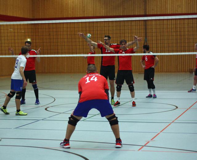 Maxau in Erwartung eines Aufschlags

FotoArchiv Merkel