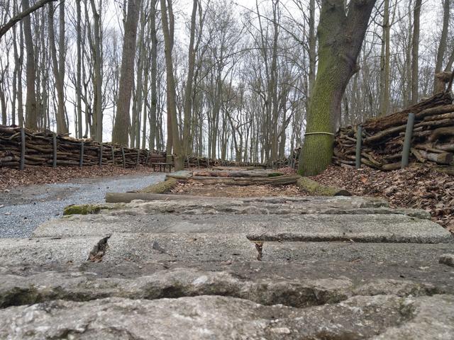 Wer über den Barfußpfad geht, kann die unterschiedlichen Untergründe an den Fußsohlen spüren.  | Foto: BAS