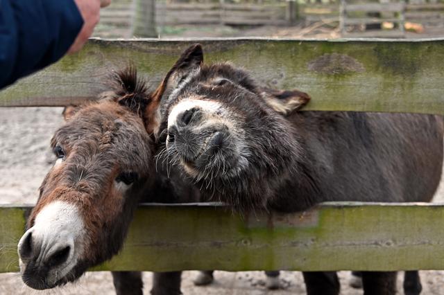 Foto: Ilona Schäfer