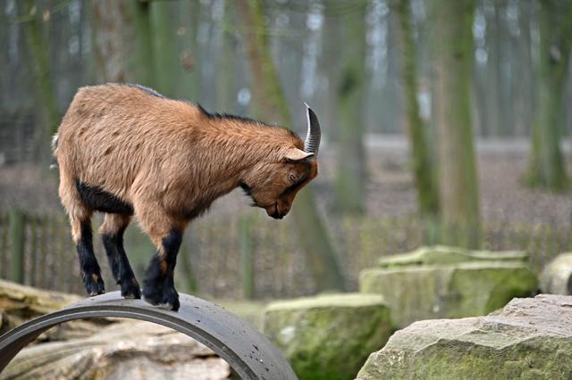 Foto: Ilona Schäfer