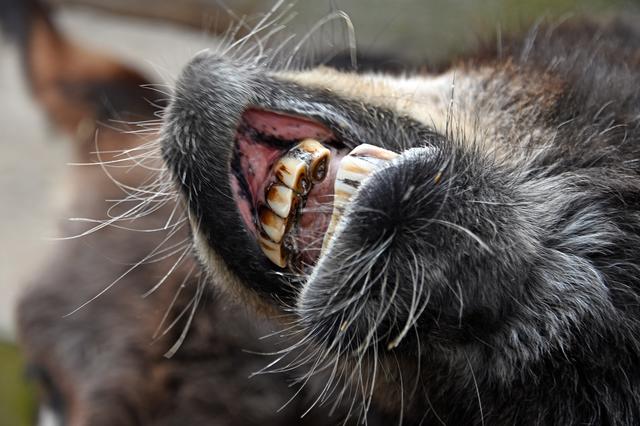 Foto: Ilona Schäfer