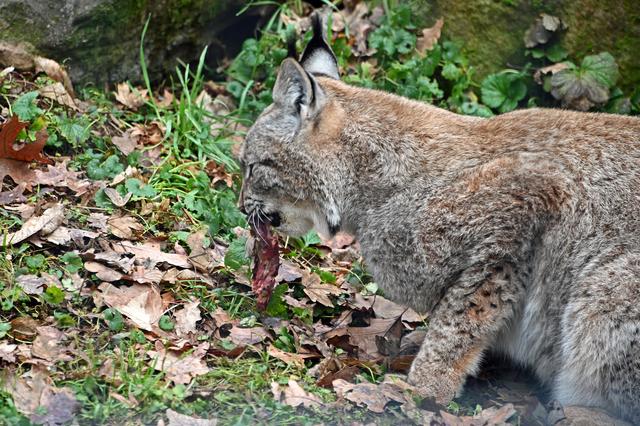 Foto: Ilona Schäfer