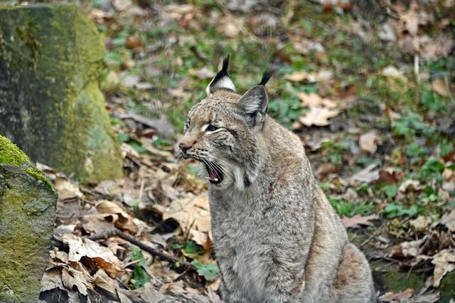 Foto: Ilona Schäfer