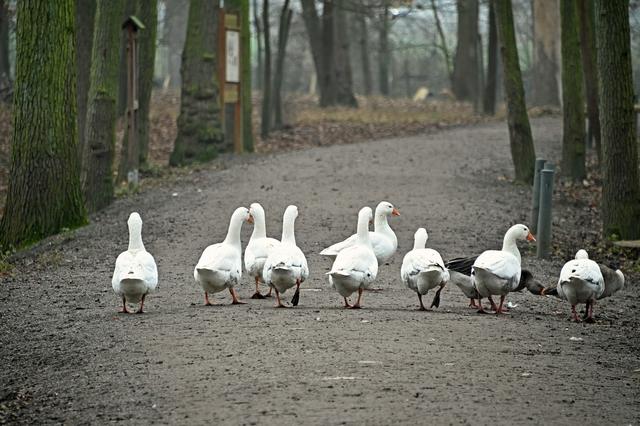 Foto: Ilona Schäfer