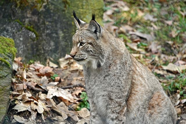 Foto: Ilona Schäfer