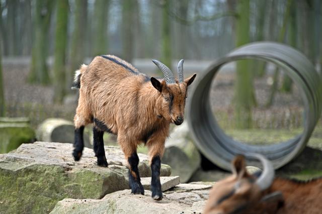 Foto: Ilona Schäfer