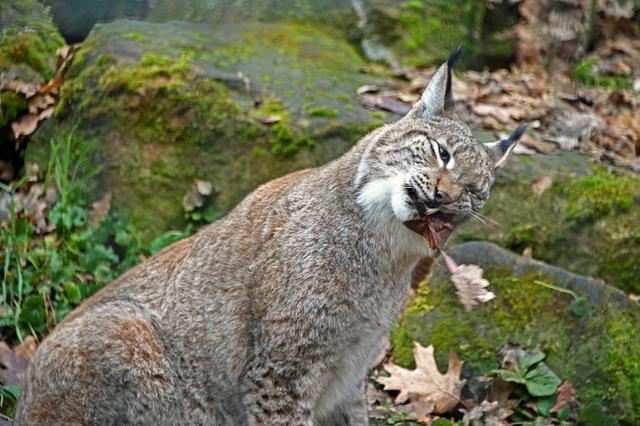 Foto: Ilona Schäfer