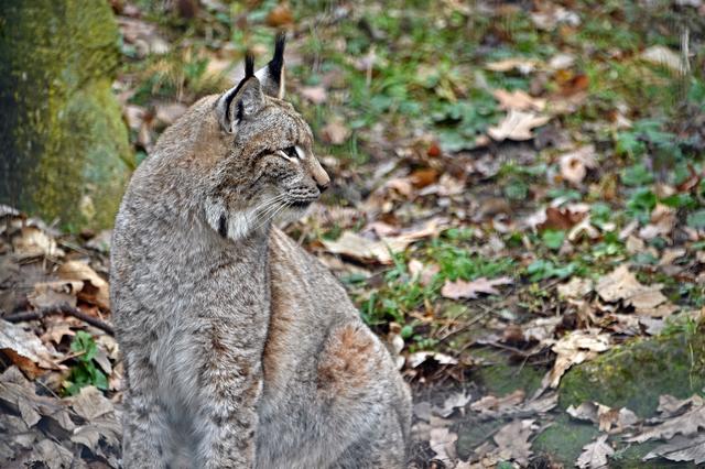 Foto: Ilona Schäfer