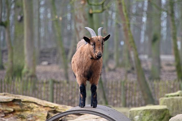 Foto: Ilona Schäfer