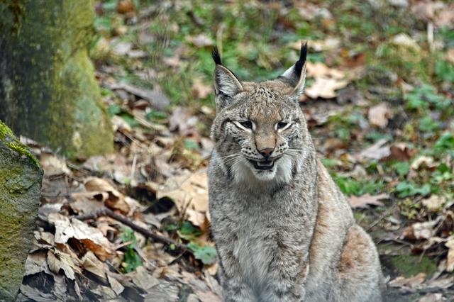 Foto: Ilona Schäfer