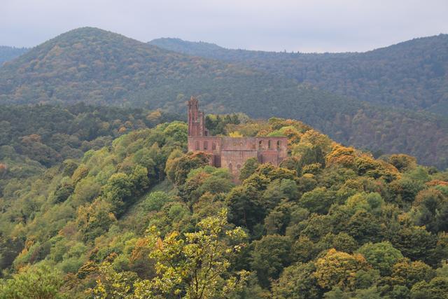 Der Salierkaiser Konrad II. legte im Jahr 1025 den Grundstein für das Kloster Limburg und leitete damit ein Jahrhundert ein, in dem Dürkheim eine zentrale Rolle im Heiligen Römischen Reich Deutscher Nation spielte.  | Foto: Jonas Beckmann