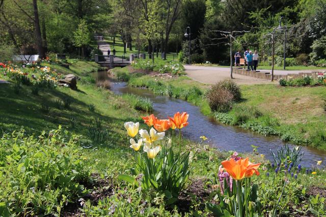 Das Flüsschen Isenach fließt durch den Kurpark.  | Foto: Franz Walter Mappes