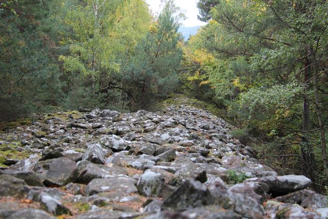 Die Heidenmauer, ein keltischer Ringwall. | Foto: Jonas Beckmann