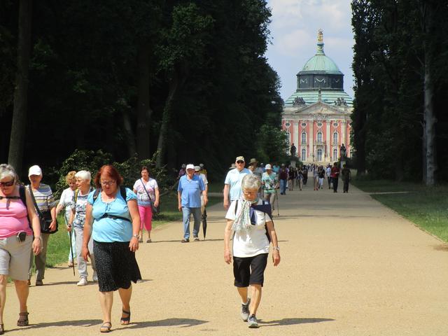 Im Schlosspark Sanssouci/Potsdam im Sommer 2019.