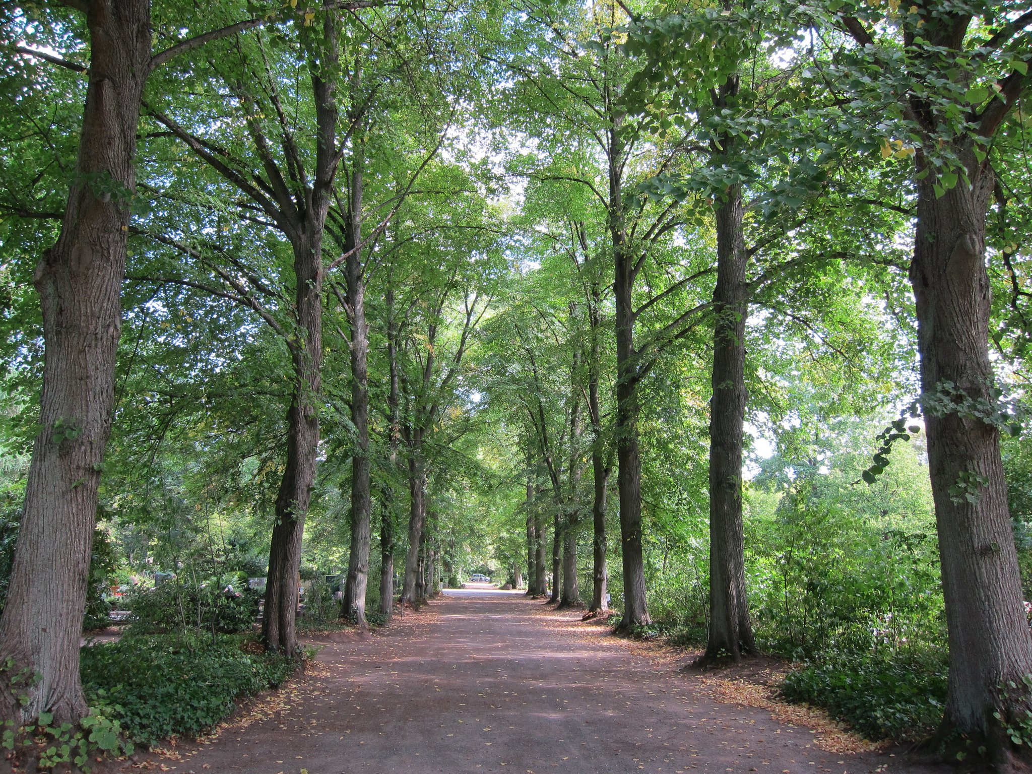 Schließung der Friedhöfe in Kaiserslautern Aktuelle