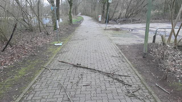 Zum Glück ist hier niemand gelaufen! Dieser dicke Ast hat das Hinweisschild des Zoos (im Hintergrund links) beim Herabfallen zerschlagen. Das hätte auch anders ausgehen können... | Foto: Tim Altschuck 