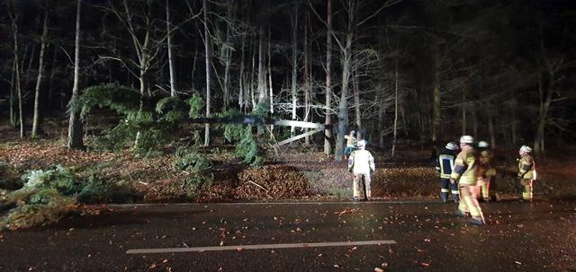 Foto: Feuerwehr Kaiserslautern