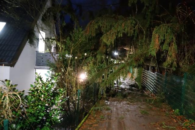 Foto: Feuerwehr Kaiserslautern