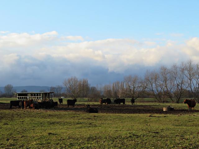 Anderer Schauplatz, aber auch Nachwuchs | Foto: Brigitte Melder
