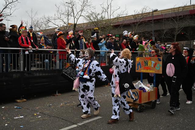 Foto: Gaier/Basaric-Steinhübl
