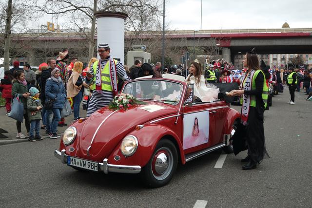 Foto: Gaier/Basaric-Steinhübl