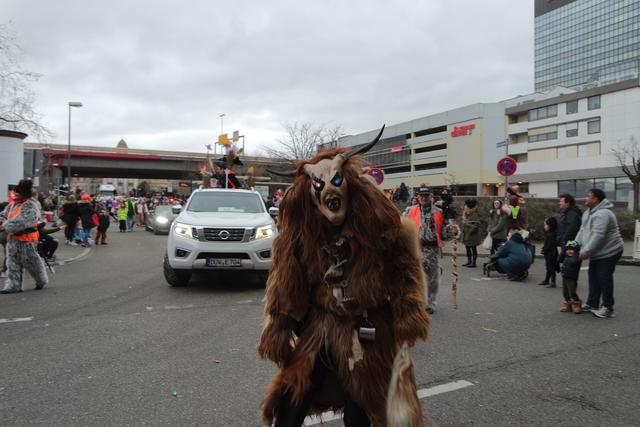 Foto: Gaier/Basaric-Steinhübl